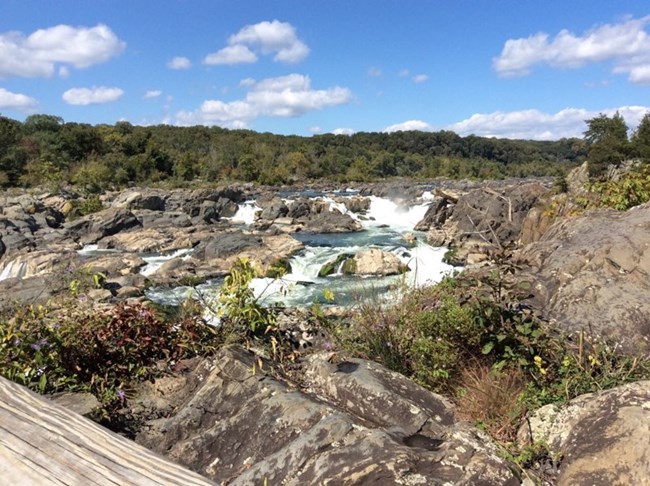 Looking up the Potomac River