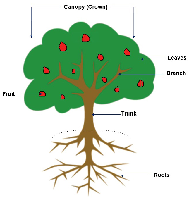 Family tree branch with hearts for 8 members, family history