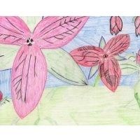 Student drawing of red flowers with large green leaves.