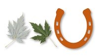 The silver side under a Silver Maple lea, the top part of a Silver leaf which is green and a brown mule shoe.