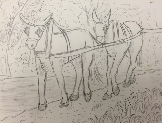 Student sketch of mules on the C&O Canal
