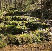 Waterfall emptying into C&O Canal