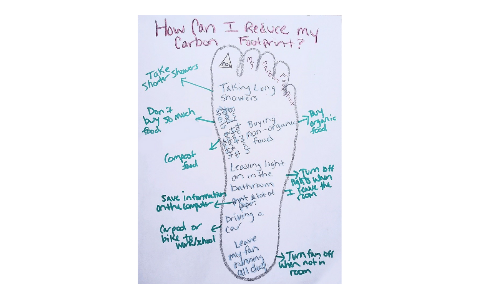 Photo of Carbon Footprint Activity of eco-friendly activities and non-eco-friendly activities.