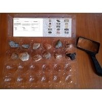 Egg carton holding collected rocks with a black magnifying glass next to it.