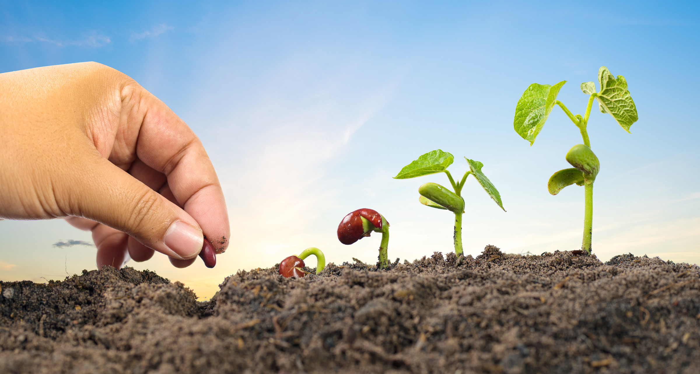 Digging-gloves-gardening-dipping-labor-protection-paws-garden-planting