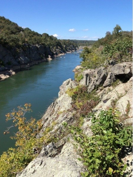 Looking upriver over Mather Gorge