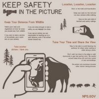 Infographic with text "Keep Safety in the Picture” and drawings photography.