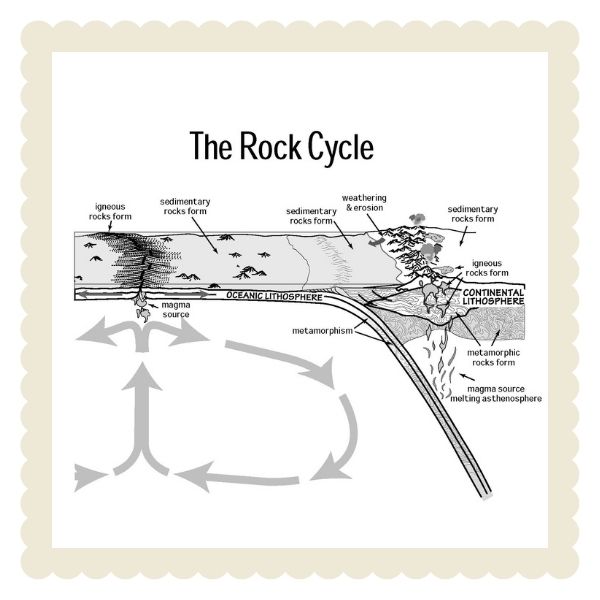 Diagram of the rock cycle produced by the United States Geologic Survey and National Park Service.