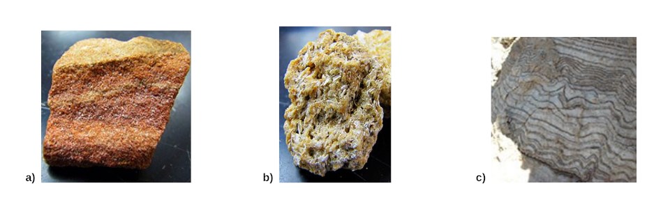 Three types of sedimentary rocks labeled with letters a, b, and c.