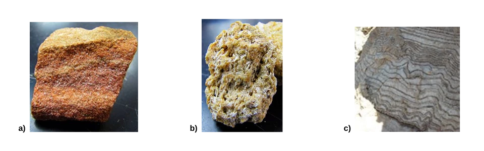 NPS Photo: types of sedimentary rocks Three types of sedimentary rocks labeled with letters a, b, and c.