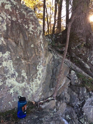 Towpath migmatite