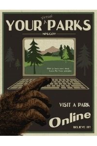 NPS virtual visit infographic.