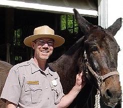 Photo of superintendant Kevin Brandt with Ellie the mule Photo of superintendant Kevin Brandt with Ellie the mule