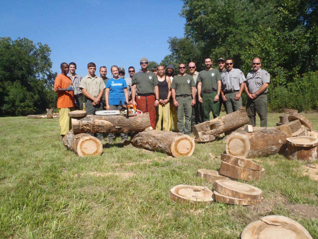 Chainsaw Safety Training Chainsaw Safety Training