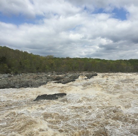Great Falls overlook