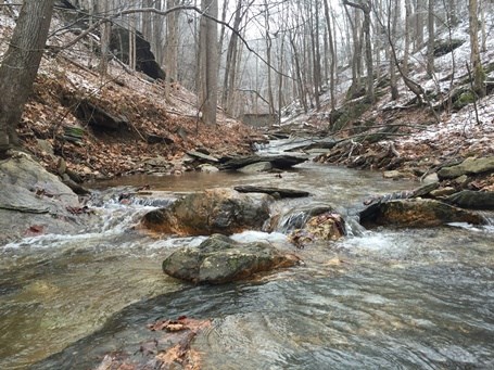 Stream in the winter