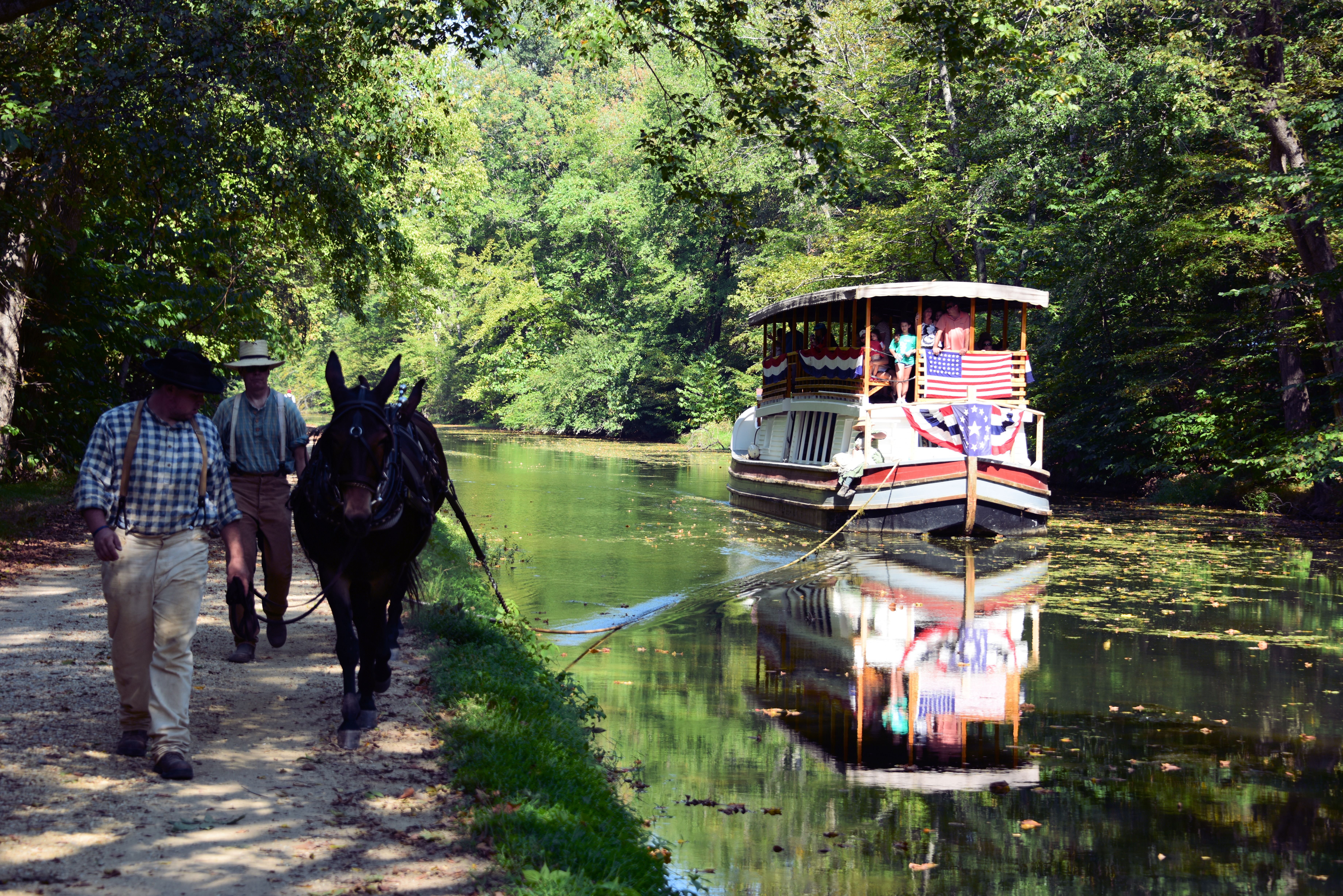 Mule Drawn Boat in 4th of July Decor