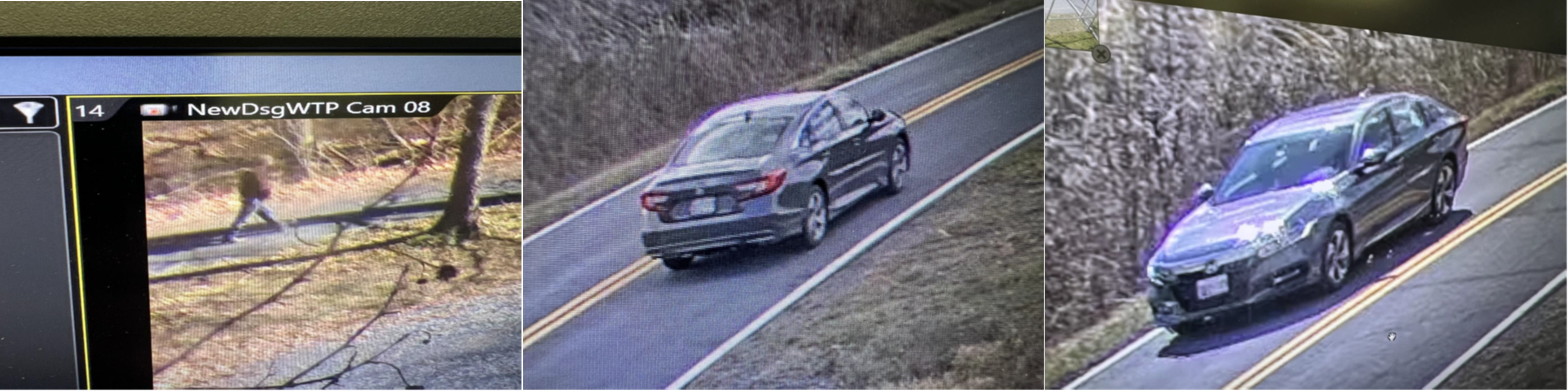 Multiple images of the possible suspect and gray 4-door sedan