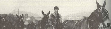 Photo of boy with five mules near Cumberland, MD circa 1920.