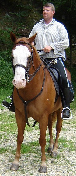 Man riding a horse on the C&O Canal towpath.