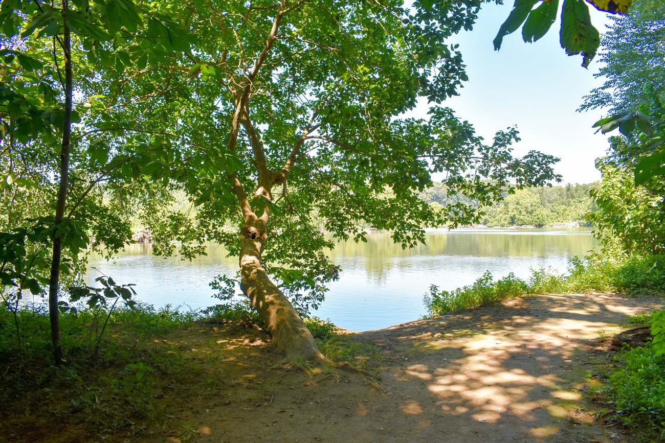 River Trail