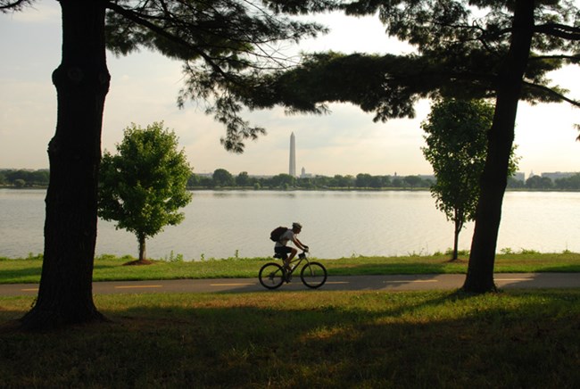 Biker on Mount Vernon Trail Biker on Mount Vernon Trail