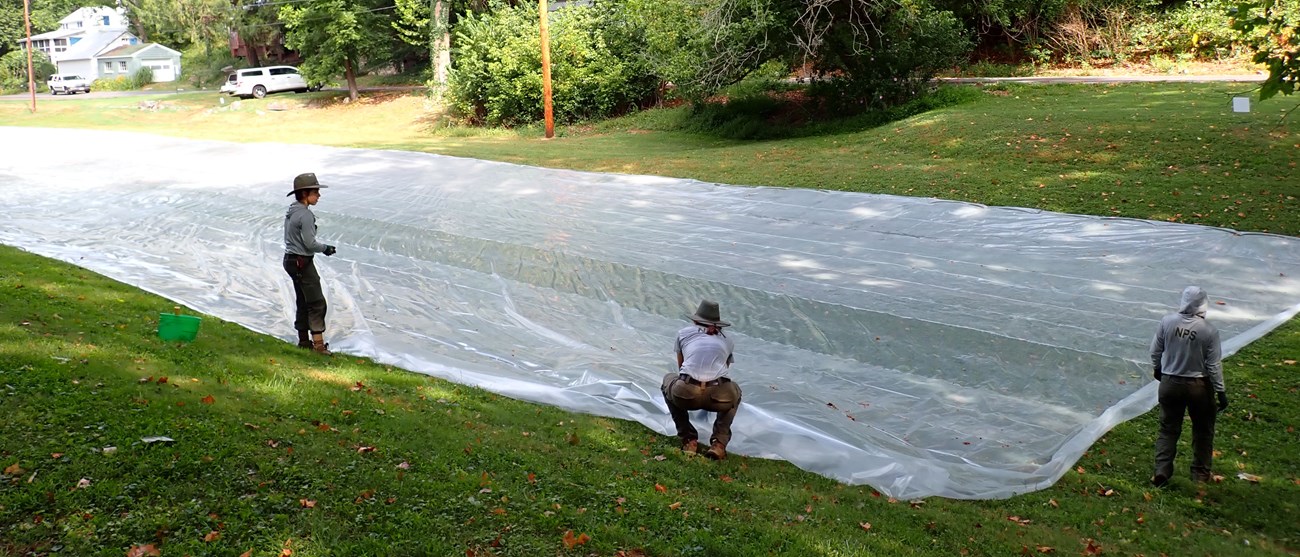 Grassland Restoration
