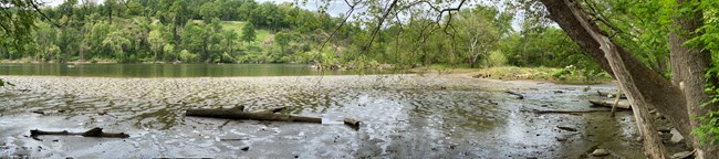 A view of the Potomac River