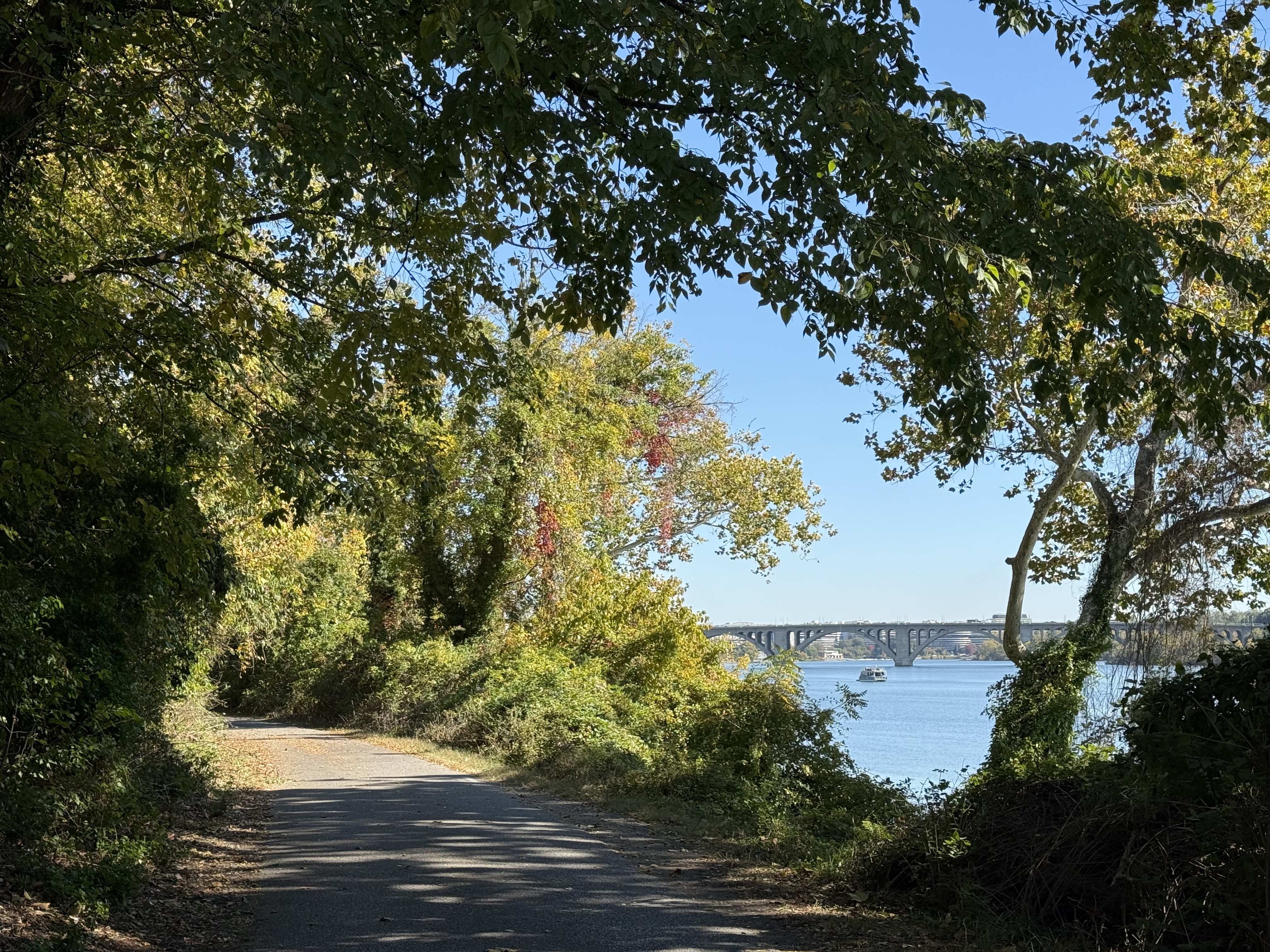A paved trail leads off to the left with a view of a large arched bridge in the background