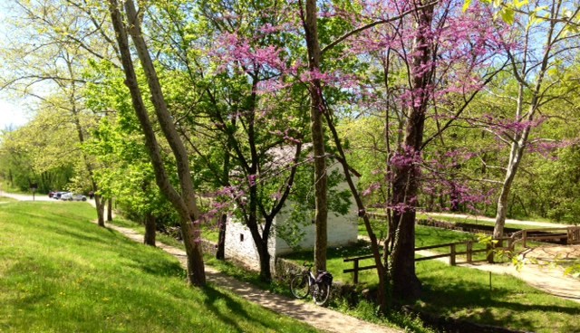 Lockhouse 6 in Spring