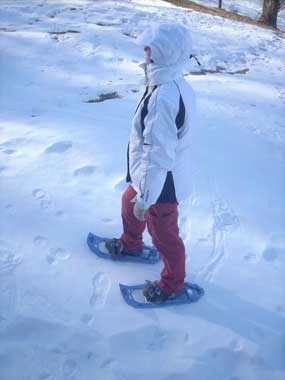 Snowshoeing on the towpath