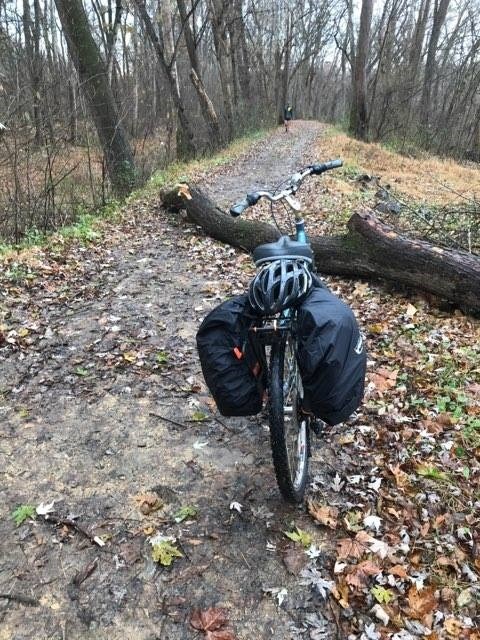 Tree down on the towpath with a bicycle in front of it.