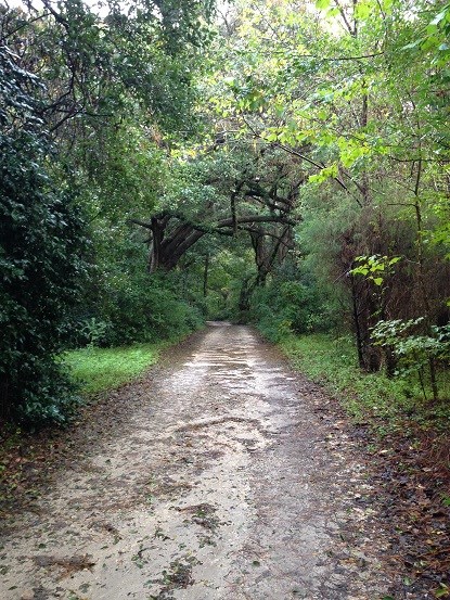 road