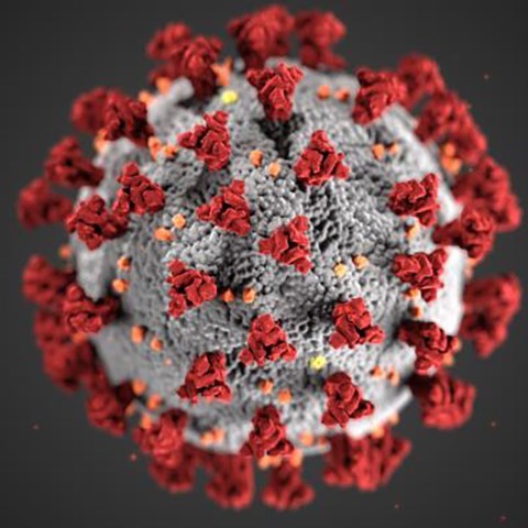 2019 Novel Coronavirus (COVID-19)