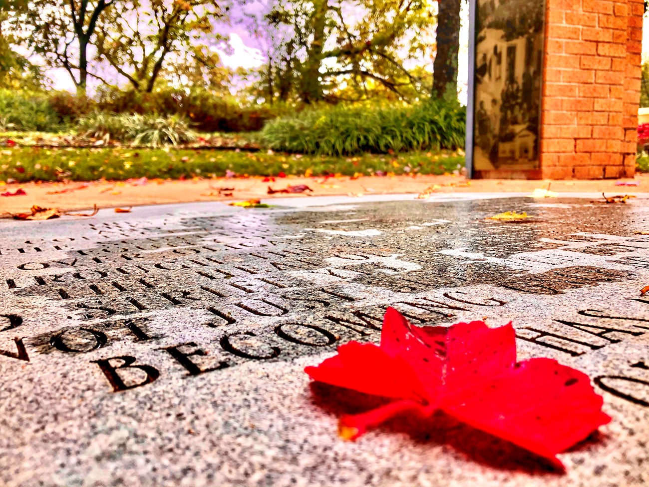 Fall leaves lie across the commemorative garden's inscribed poem.