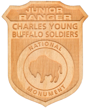 Jr Ranger Badge