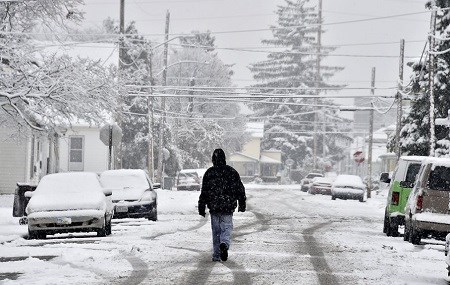 Springfield snow Nov2014