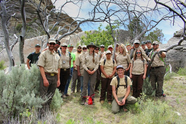 Group photo of our 2018 employees.