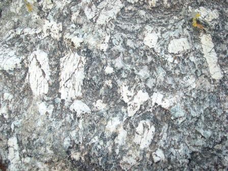 Composition Some Important Igneous Rocks From Left To Right Gabbro Andesite Pegmatite Basalt Pumice Porphyry Obsidian Gra In 2020 Rock Types Igneous Rock Rock