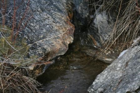 Circle Creek