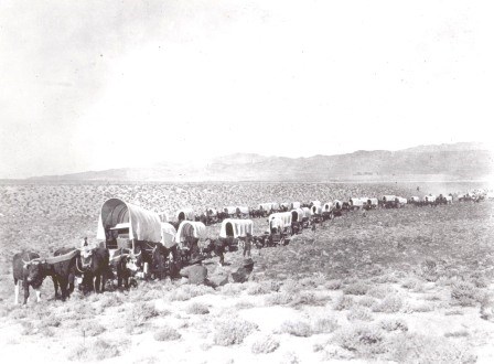 Wagons on trail