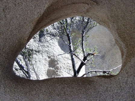 Window