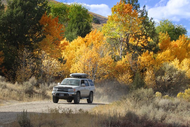 Vehicle on the City of Rocks Back Country Byway