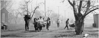 Internees when they arrived at Manzanar, carrying belonging's walking into the camp. (Historic photo)