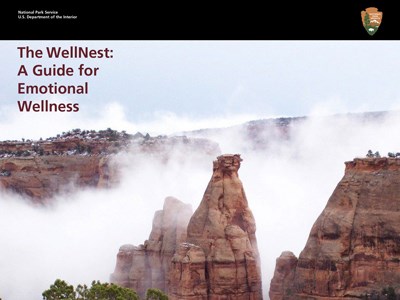 WellNest-300