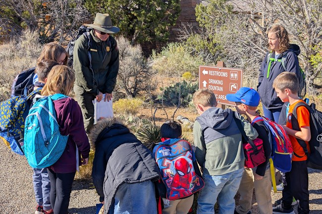 students stand outside looking towards center of circle at desert plants