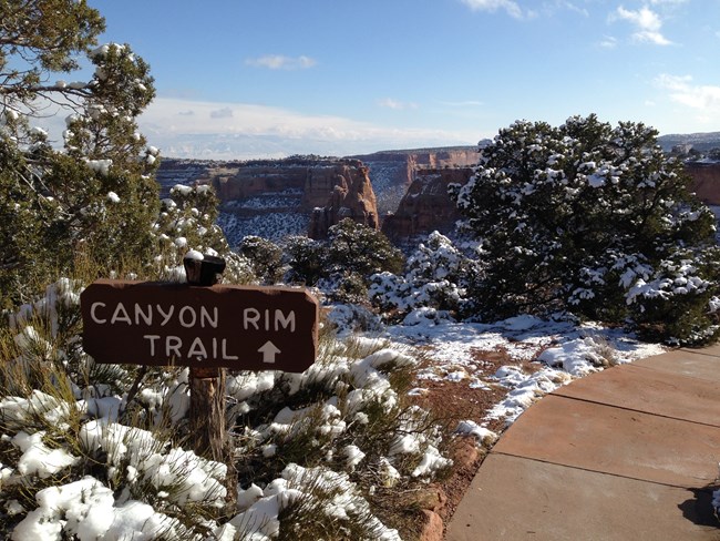 Wooden sign with routed text "Canyon Rim Trail" and an arrow. Sign is surrounded by trees covered with snow.