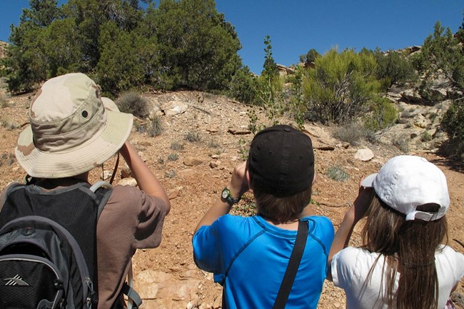 three young people use binoculars towards sparse juniper desert vegetation