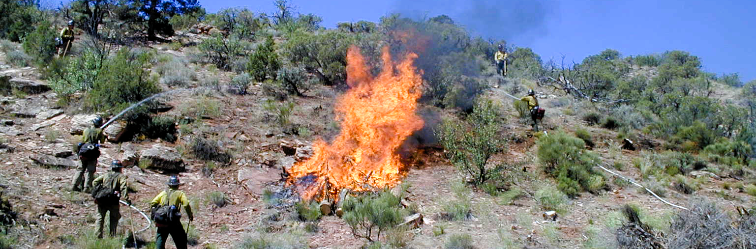 A large bonfire in the middle of a shrubby field is an intentional pile burn surrounded by fire crew.