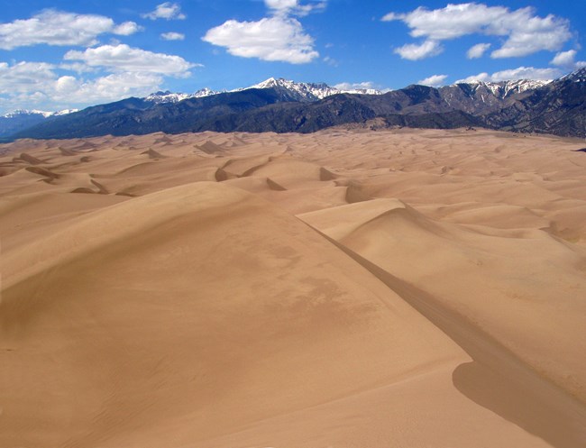 Waves of yellow-gold sand stretch into the distance, where alpine mountain peaks stand below a blue sky with puffs of white cloud.